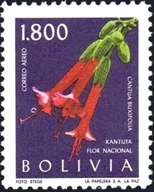 Colnect-3999-078-Cantua-buxifolia.jpg