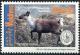 Colnect-4211-204-Woodland-Caribou-Rangifer-tarandus.jpg