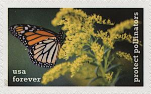 Colnect-5974-374-Monarch-on-Giant-Goldenrod.jpg