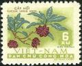 Colnect-5504-260-Illicium-verum---Aniseed.jpg
