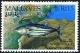 Colnect-4210-445-Skipjack-Katsuwonus-pelamis.jpg