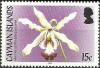 Colnect-1887-312-Myrmecophila-albopurpurea.jpg