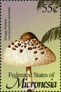 Colnect-3171-312-Leucocoprinus-rhacodes.jpg