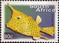 Colnect-3425-589-Longhorn-Cowfish-Lactoria-cornuta-.jpg