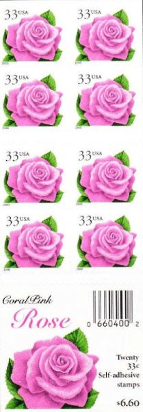 Colnect-4164-508-Coral-Pink-Rose.jpg