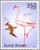 Colnect-3967-941-Brown-Booby-Sula-leucogaster-American-Flamingo-Phoenicop.jpg