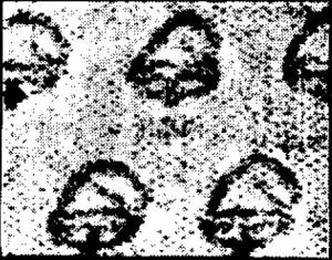 Colnect-3321-910-New-Coat-pattern-inscription-UPU-and-the-year-1896-back.jpg