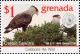 Colnect-4569-555-Crested-caracara.jpg