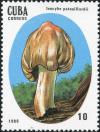 Colnect-2875-900-Inocybe-patouillardii.jpg