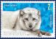 Colnect-6456-845-Arctic-Fox-Vulpes-lagopus.jpg