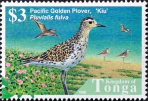 Colnect-2537-708-Pacific-Golden-Plover-Pluvialis-fulva.jpg