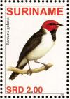 Colnect-3837-107-Red-capped-Cardinal%C2%A0%C2%A0%C2%A0%C2%A0Paroaria-gularis.jpg