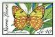 Colnect-2556-395-Yellow-Splendour-Tip-Colotis-protomedia.jpg
