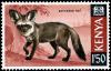 Colnect-4500-581-Bat-eared-Fox-Otocyon-megalotis.jpg