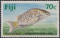 Colnect-3263-058-Orange-Spotted-Therapon-Mesopristes-kneri-.jpg