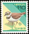 Colnect-590-096-Little-Ringed-Plover-Charadrius-dubius.jpg