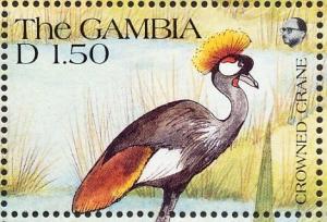 Colnect-2613-420-Grey-Crowned-Crane-Balearica-regulorum.jpg