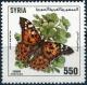 Colnect-2194-771-Painted-Lady-Vanessa-cardui.jpg