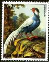 Colnect-1443-544-Silver-Pheasant-Lophura-nycthemera.jpg