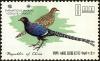 Colnect-5277-013-Mikado-Pheasant-Syrmaticus-mikado-.jpg