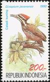 Colnect-939-194-Common-Flameback-Dinopium-javanense-.jpg