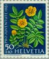 Colnect-140-181-Silverweed-Potentilla-anserina.jpg
