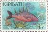 Colnect-1752-131-Humpback-Red-Snapper-Lutianus-gibbus.jpg