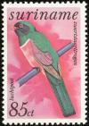 Colnect-2026-690-Black-tailed-Trogon-Trogon-melanurus.jpg