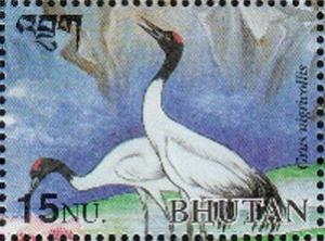 Colnect-3402-366-Black-necked-Crane-Grus-nigricollis.jpg