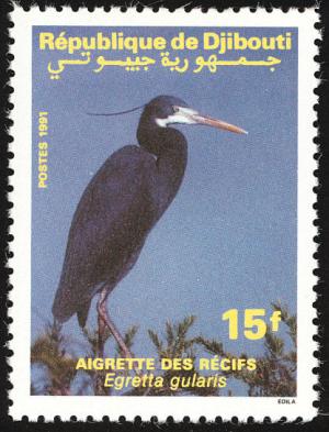 Colnect-1794-775-Western-Reef-Egret-Egretta-gularis.jpg