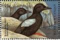 Colnect-4198-422-Black-Guillemot%C2%A0%C2%A0%C2%A0%C2%A0Cepphus-grylle.jpg