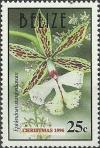 Colnect-1797-089-Epidendrum-stamfordianum.jpg