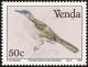 Colnect-751-654-Yellow-streaked-Greenbul-Phyllastrephus-flavostriatus.jpg