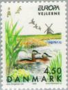 Colnect-157-532-GrCrested-Grebe-Podiceps-cristatus---Bird-Refuge-Vejlerne.jpg