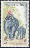 Colnect-241-392-Asian-Elephant-Elephas-maximus.jpg