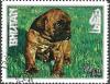 Colnect-3259-495-German-Boxer-Canis-lupus-familiaris.jpg