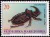Colnect-568-320-European-Rhinoceros-Beetle-Oryctes-nasicornis.jpg