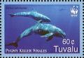 Colnect-1767-975-Pygmy-Killer-Whale-Feresa-attenuata.jpg