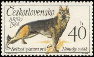 Colnect-438-596-German-Shepherd-Canis-lupus-familiaris.jpg