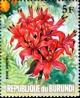 Colnect-4740-110-Nerine-sarniensis.jpg