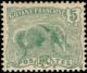 Colnect-797-228-Giant-Anteater-Myrmecophaga-tridactyla.jpg