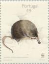 Colnect-180-423-Pyrenean-Desman-Galemys-pyrenaicus.jpg