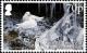 Colnect-4571-645-Snow-Petrel-Pagodroma-nivea.jpg