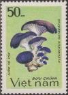 Colnect-1577-010-Pleurotus-ostreatus.jpg
