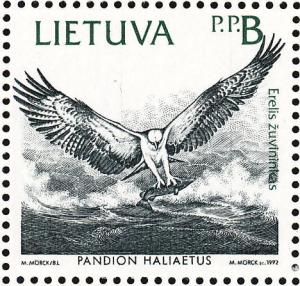 Colnect-1066-926-Osprey-Pandion-haliaetus.jpg