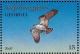 Colnect-1104-842-Osprey-Pandion-haliaetus.jpg
