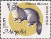 Colnect-881-484-Sable-Martes-zibellina.jpg