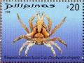 Colnect-2874-933-Stimpson--s-Intricate-Spider-Crab-Oxypleurodon-stimpsoni.jpg