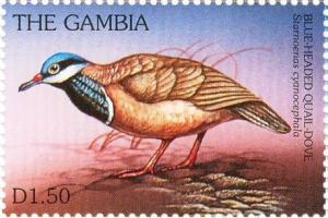 Colnect-4711-614-Blue-headed-quail-dove.jpg