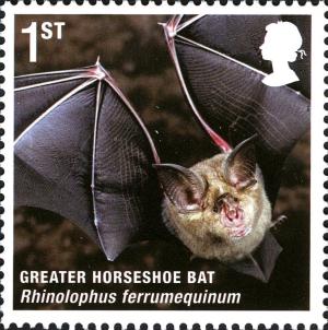 Colnect-700-930-Greater-Horseshoe-Bat-Rhinolophus-ferrumequinum.jpg